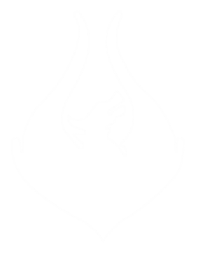 TeamPhoenix
